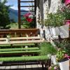 les herbes aromatiques pour les petits plats