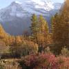 Le Charbonnel à l'Automne