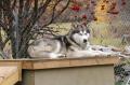 Sieste sur ma terrasse