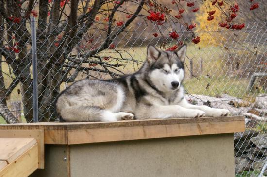 Sieste sur ma terrasse