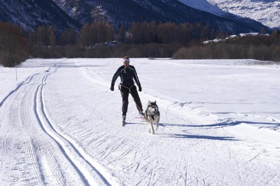 découverte du ski joering