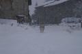 Enfin l'hiver 
