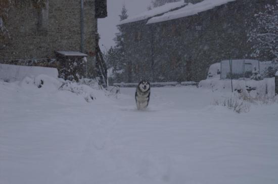 Enfin l'hiver 