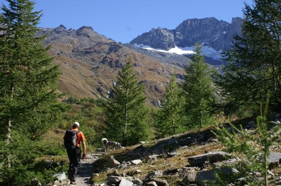 Balade automnale autour du gîte