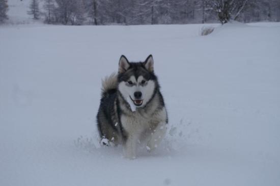 Première course dans la neige